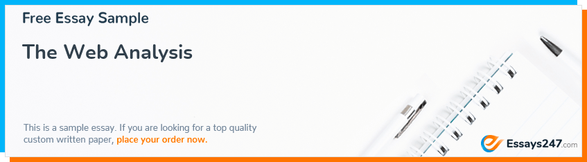 Free «The Web Analysis» Essay Sample